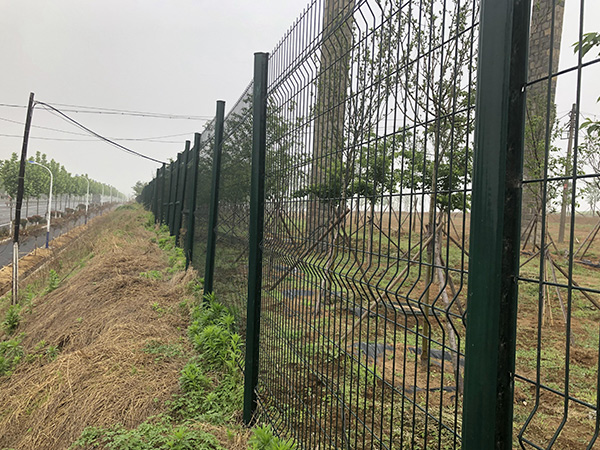 綠化帶護欄網案例展示圖片2 綠化帶護欄網案例展示圖片2