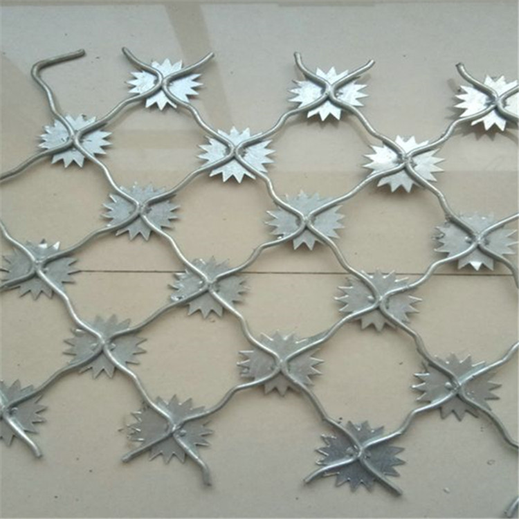 梅花刺隔離網(wǎng)案例展示圖片4 梅花刺隔離網(wǎng)案例展示圖片4