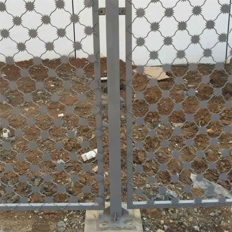 梅花刺監(jiān)獄防護網(wǎng)案例展示圖片4 梅花刺監(jiān)獄防護網(wǎng)案例展示圖片4