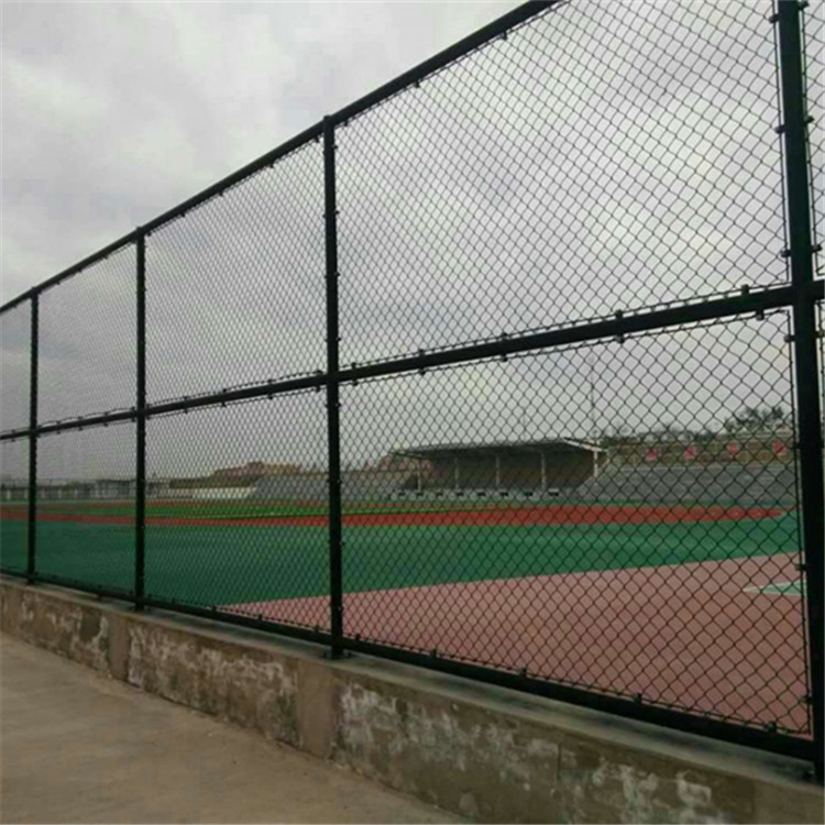 籃球場(chǎng)圍網(wǎng)案例展示圖片2 籃球場(chǎng)圍網(wǎng)案例展示圖片2