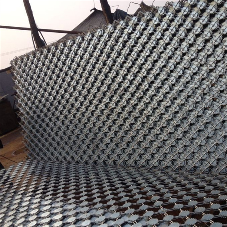 梅花刺隔離網(wǎng)案例展示圖片4 梅花刺隔離網(wǎng)案例展示圖片4