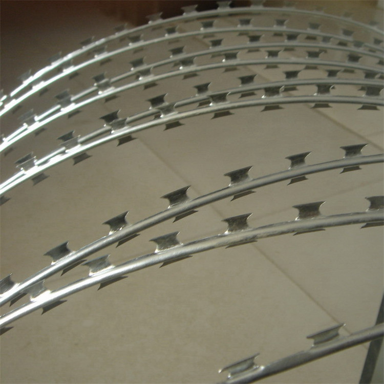 刀片刺網案例展示圖片4 刀片刺網案例展示圖片4