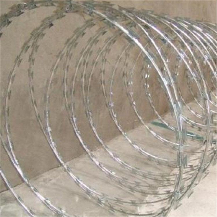 刀刺網案例展示圖片4 刀刺網案例展示圖片4