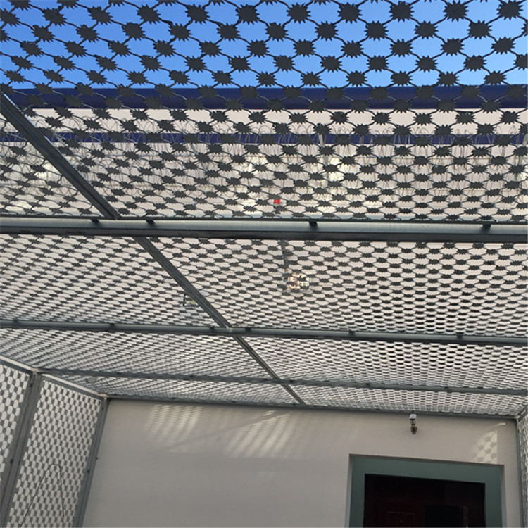 梅花刺隔離網案例展示圖片4 梅花刺隔離網案例展示圖片4